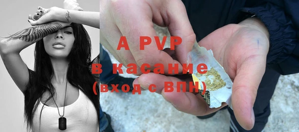 spice Аркадак